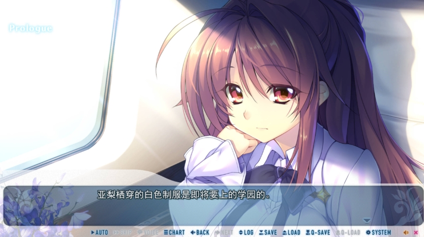 【PC/CG/ADV/汉化/5.80G】黑暗与庆典的圣域/ヤミと祝祭のサンクチュアリ 日式/AI汉化版+全CG存档 大型ADV/5.80G